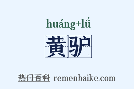 黄驴是什么意思的图片